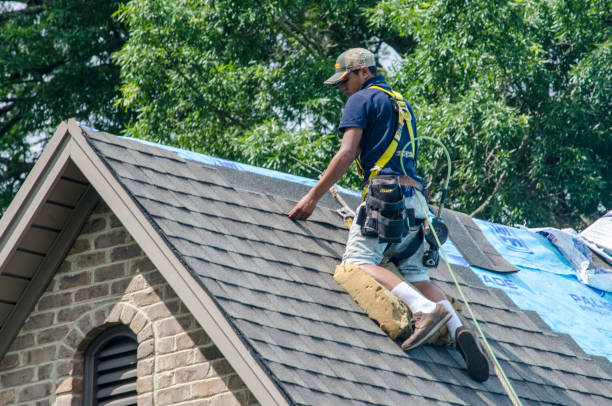 Professional Roofing Contractor in Budd Lake, NJ