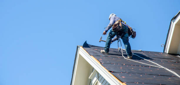 Best Storm Damage Roof Repair  in Budd Lake, NJ